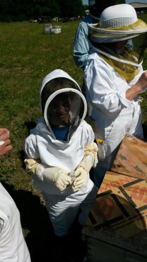 Mastering the Art of Beekeeping Seminar - Image 6