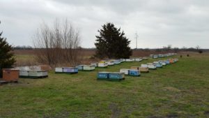 Mastering the Art of Beekeeping Seminar - Image 9